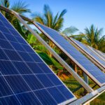 Painéis solares inclinados instalados em área externa com coqueiros ao fundo.